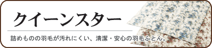 NC[X^[